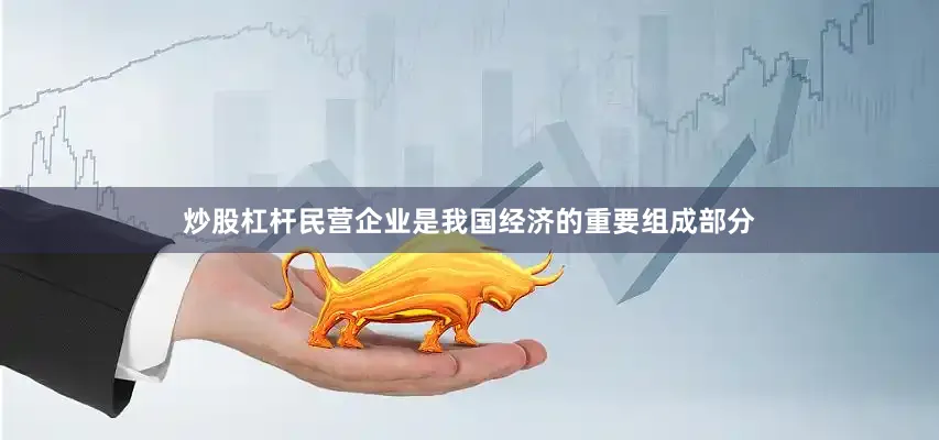炒股杠杆民营企业是我国经济的重要组成部分