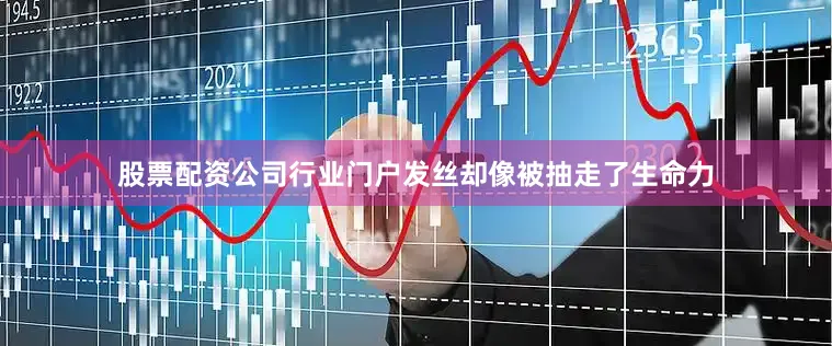 股票配资公司行业门户发丝却像被抽走了生命力