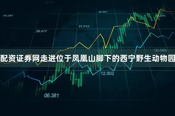 配资证券网走进位于凤凰山脚下的西宁野生动物园